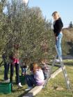 DSCN0957